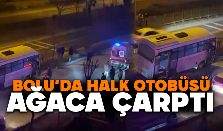 Bolu’da Halk Otobüsü Ağaca Çarptı