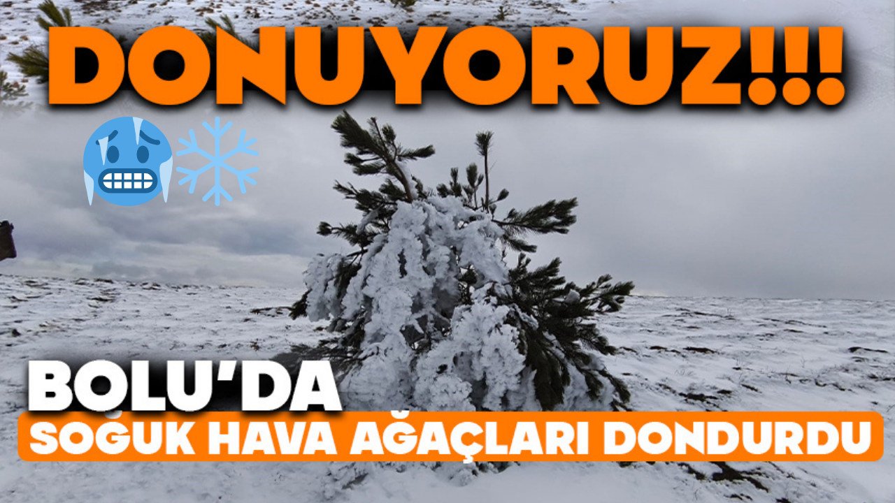 Bolu’da soğuk hava ağaçları dondurdu