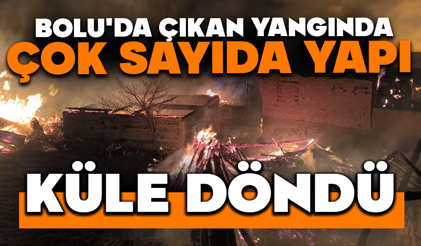 Bolu’da çıkan yangında çok sayıda yapı küle döndü