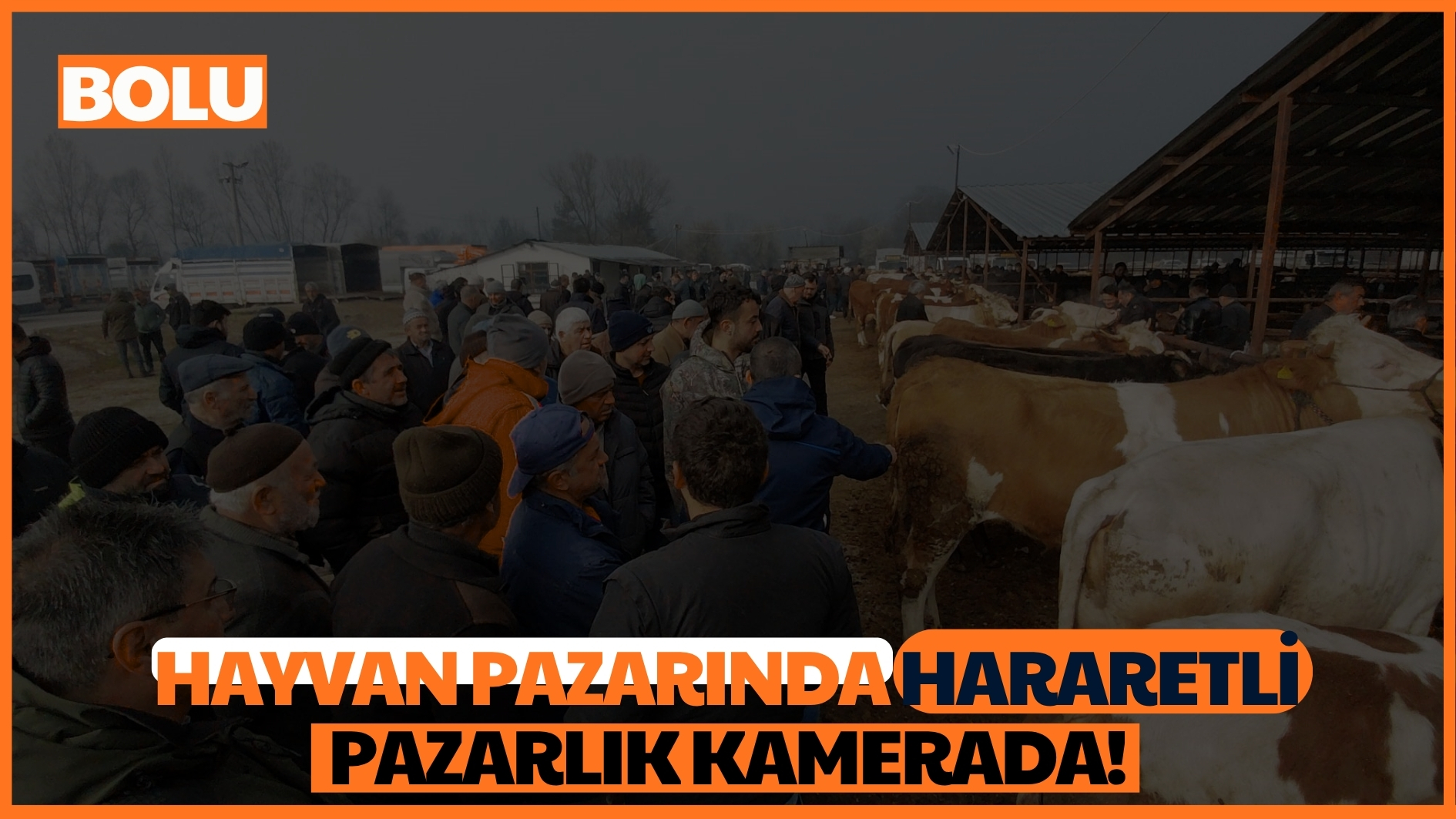 Hayvan pazarında hararetli pazarlık kamerada