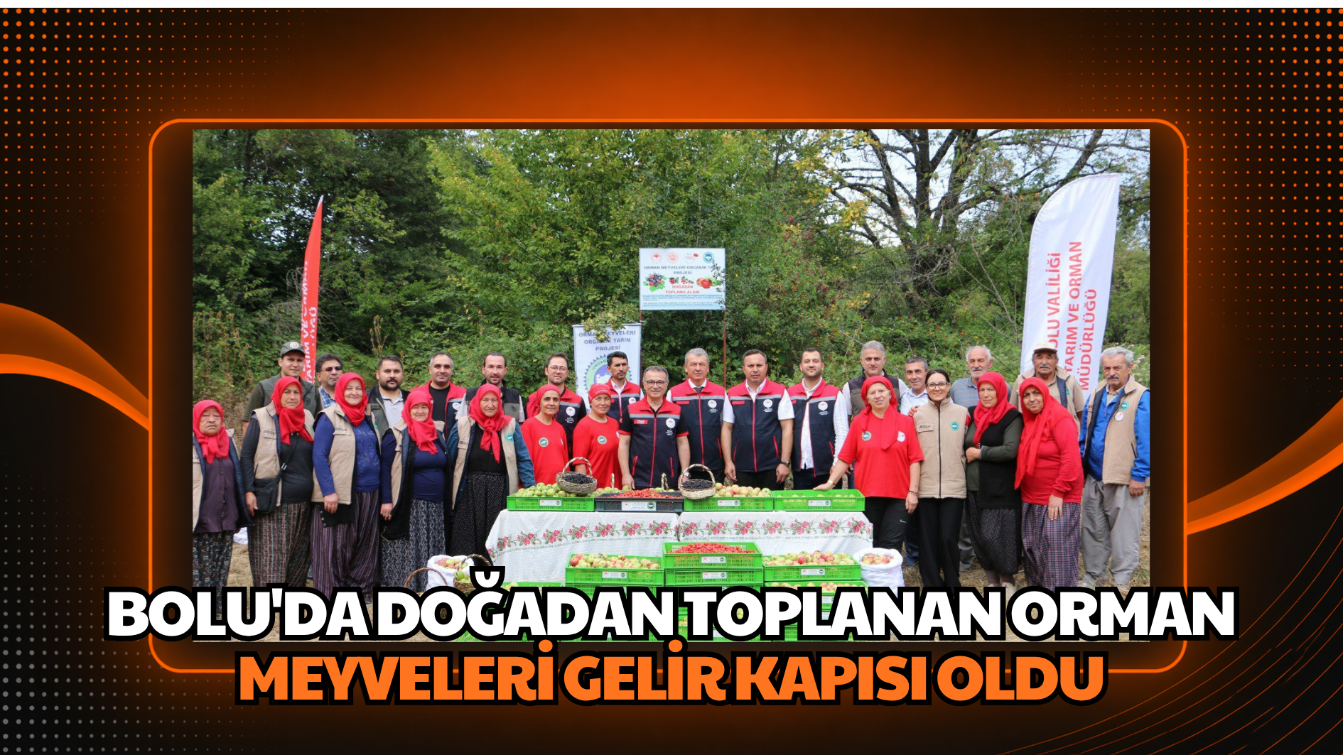 Bolu’da doğadan toplanan orman meyveleri gelir kapısı oldu